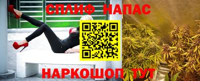 дмт Будённовск