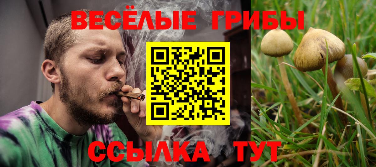 Галлюциногенные грибы мухоморы Курчатов