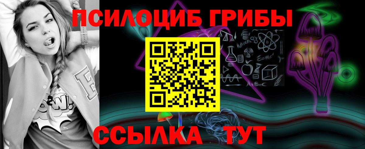 Псилоцибиновые грибы Psilocybine cubensis  Вход с VPN  Курчатов 
